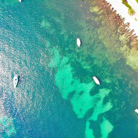 108 Son Morey Tarongers Etv14340 By Mallorca Charme Semesterbostad