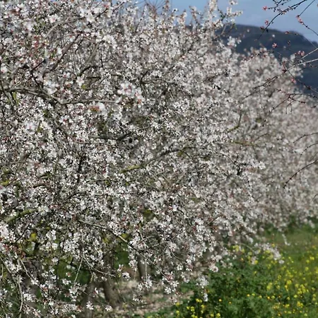 Semesterbostad 108 Son Morey Tarongers Etv14340 By Mallorca Charme Can Picafort (Mallorca)