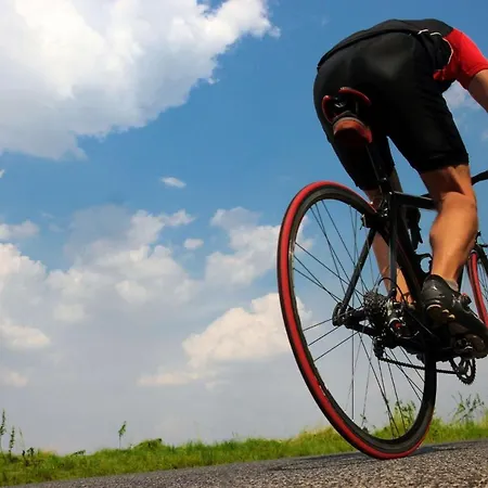 108 Son Morey Tarongers Etv14340 By Mallorca Charme * Can Picafort (Mallorca)