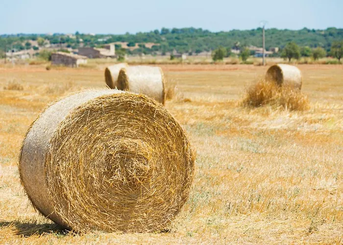 Holiday home 108 Son Morey Tarongers Etv14340 By Mallorca Charme Can Picafort (Mallorca)